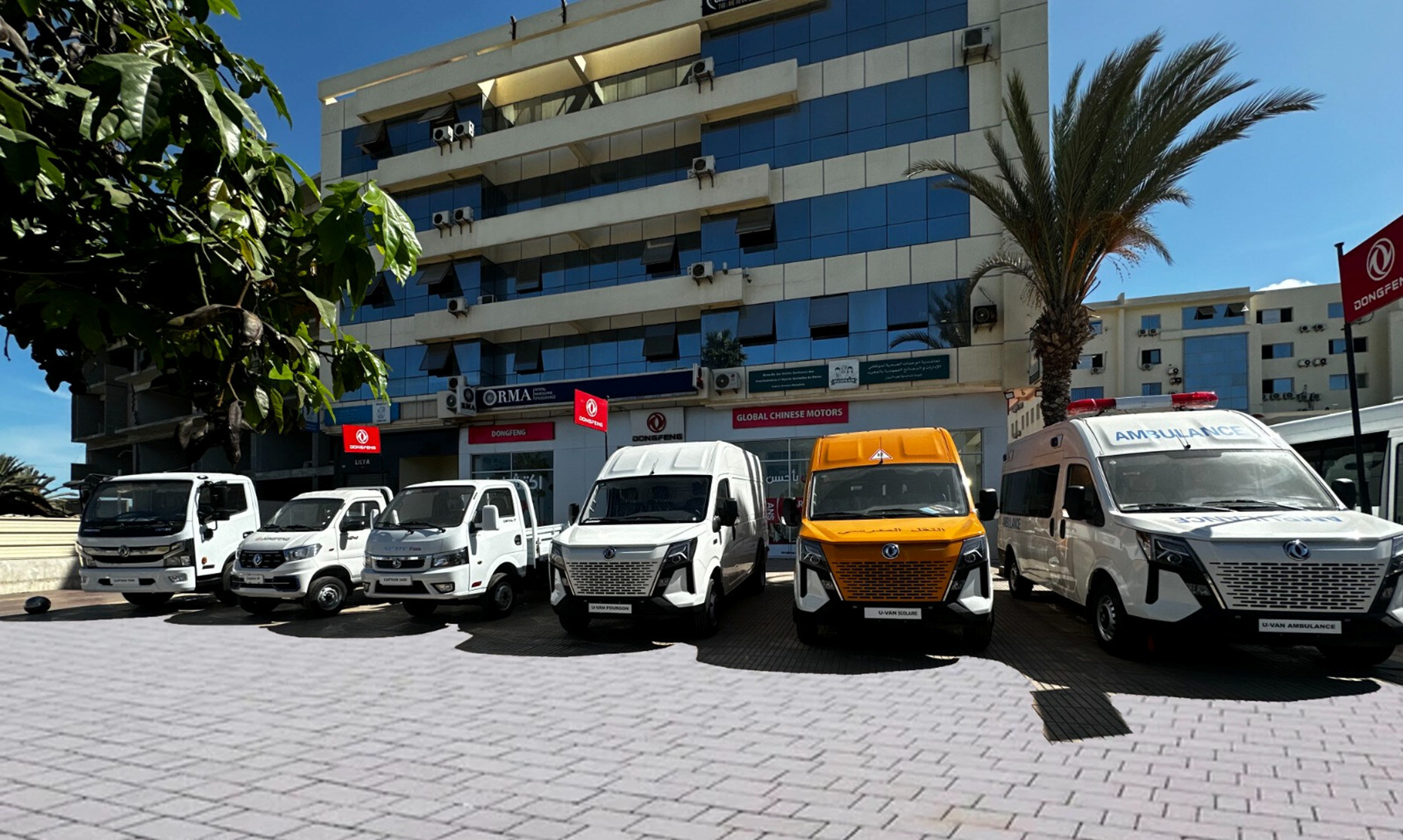 Dongfeng Global Chinese Motors