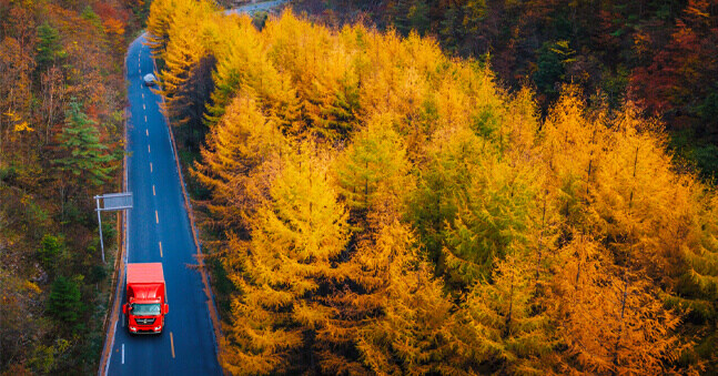 Plan de développement des sciences et des technologies